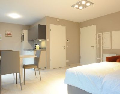 133 – Studio flat 2nd floor